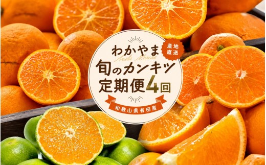 
            【全4回】和歌山旬のカンキツ定期便【M】3・5・9・11月発送（ご家庭用）※北海道・沖縄県・離島への配送不可 / 春の柑橘 初夏の柑橘 青切り 有田みかん 完熟有田みかん フルーツ くだもの 果物【ard-tkb906】
          