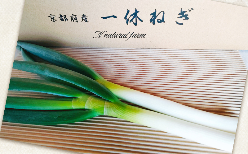 一休ねぎ 5kg 京都府 京田辺市 ネギ 野菜 京野菜