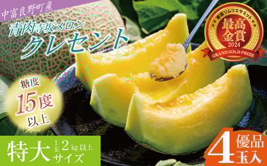 【2026年発送】【中富良野町】寺坂メロン　4玉入り（青肉特大）