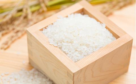 《先行予約》令和5年産米 魅惑のはえぬき（精米）10kg（5kg×2袋） 米 お米 おこめ 山形県 新庄市 F3S-1614