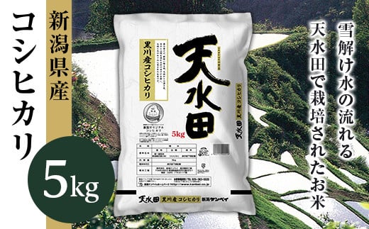 27-51D新潟県黒川産コシヒカリ5kg【天水田】