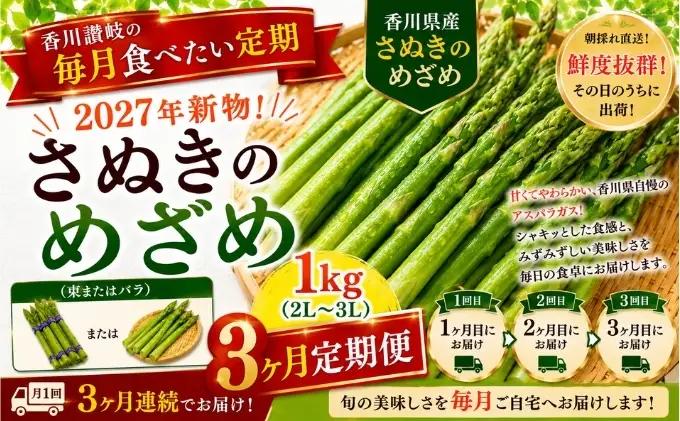 香川讃岐の毎月食べたい定期「2027年新物！さぬきのめざめ 1kg（2L～３L）」3ヶ月定期便