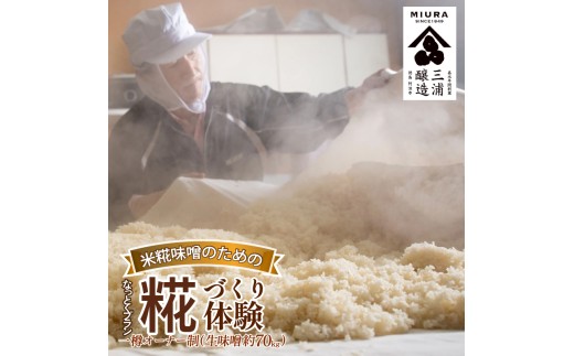 【体験型】 味噌 糀づくり 体験 一樽 オーナー制 米糀味噌 味噌 みそ 米糀 大豆 5代目 杜氏 今摺 熟成米 味噌作り 体験 徳島県 阿波市 四国 三浦醸造所