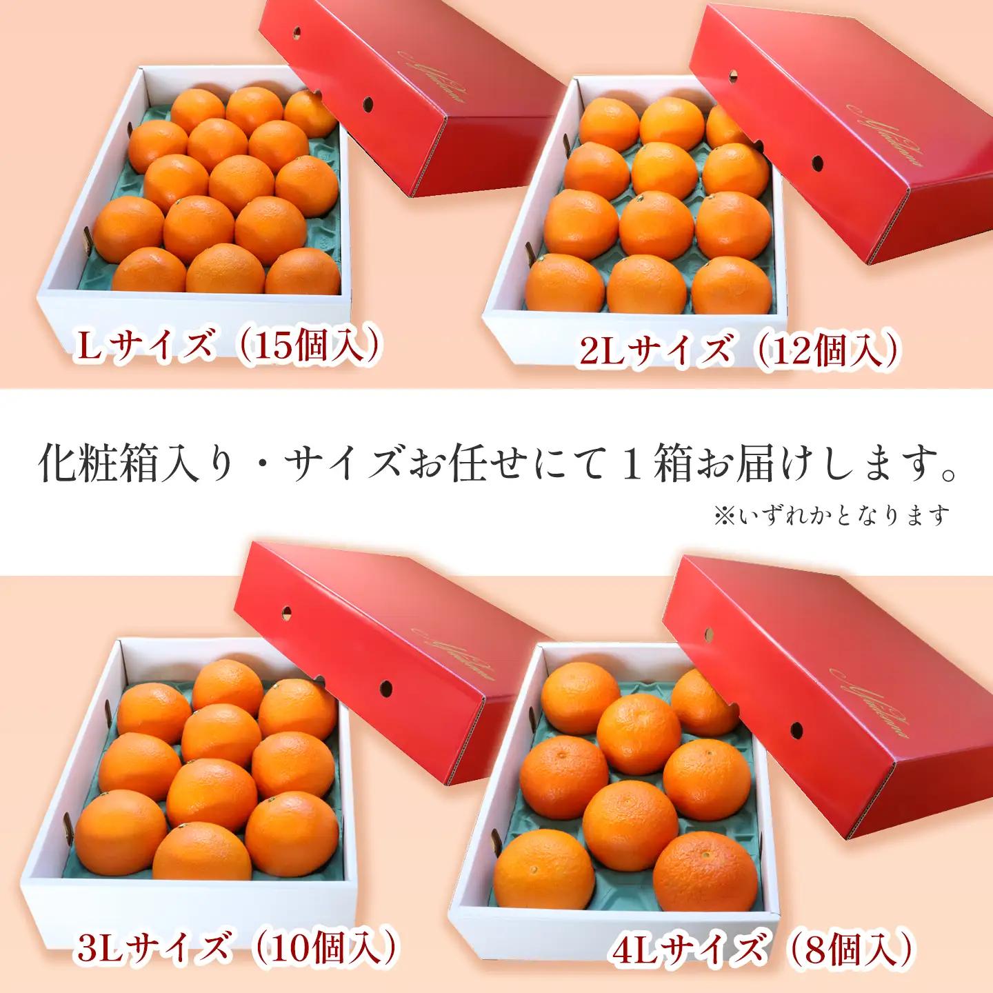 まどんな 約3㎏【秀品･化粧箱（L～4L）8～15個入】｜あいか 紅まどんなと同品種