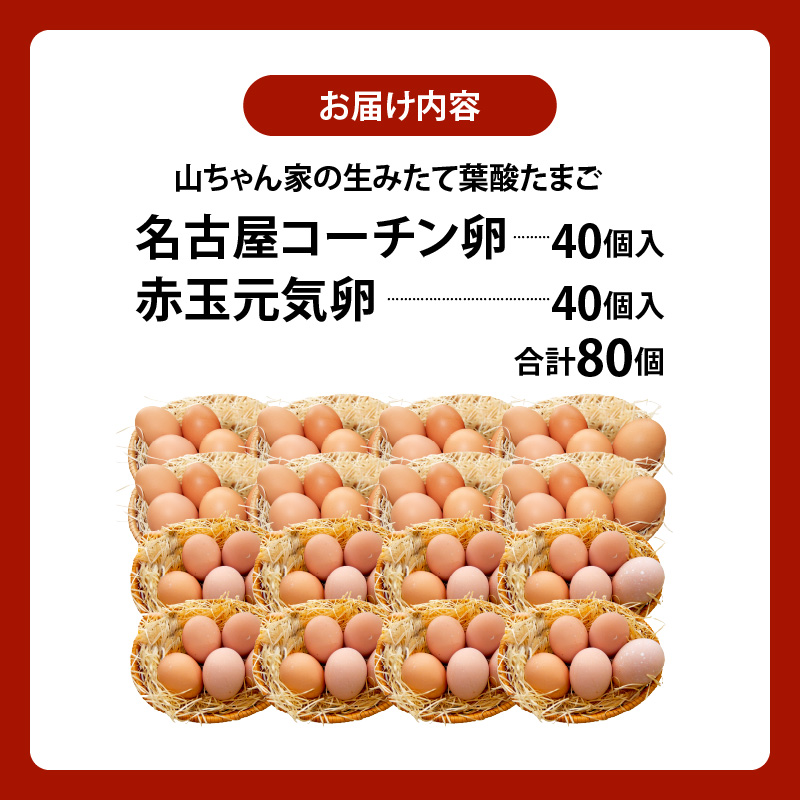 【山ちゃん家の生みたて葉酸たまご】名古屋コーチン卵・赤玉元気卵 食べ比べセット（各40個 合計80個入り） 山ちゃん家 生みたて 葉酸たまご 名古屋コーチン卵 赤玉元気卵 食べ比べ セット 各 40個