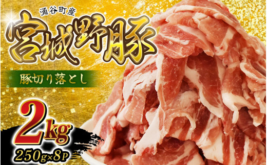 豚肉 切り落とし 2kg 宮城野ポーク 小分け / 豚肉 豚切り落とし 国産豚 250g×8P 大容量 小分け 豚肉 銘柄豚【農林水産大臣賞受賞】【sari009】
