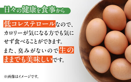 きみ恋し 60個（55個+割れ保証5個） 箱入り たまご 鶏卵 オムレツ 新鮮 冷蔵 広川町 / 伊藤養鶏場[AFAJ004]