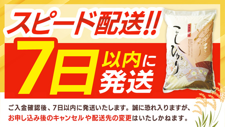 ≪ 令和7年度 新米 ≫ コシヒカリ 玄米5kg（5kg×1袋）（茨城県共通返礼品 かすみがうら市産） 新米 米 ごはん もっちり 甘い コメ お米 白米 銘柄米 [EX011sa]