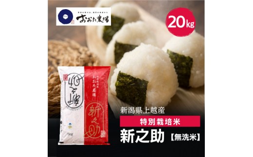 令和8年産 新潟県上越産 特別栽培米 新之助 20kg 20キロ（5kg×4） 【無洗米】 しんのすけ 新米 おおた農場 上越市