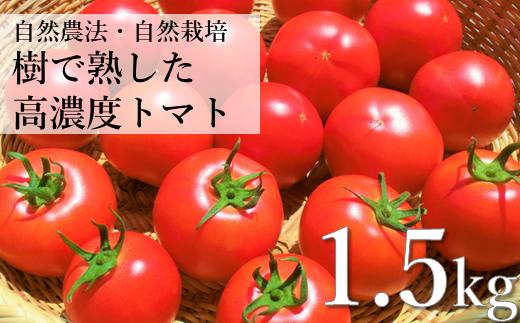 
自然農法 樹で熟した 高濃度 大玉 トマト 1.5kg 約 11玉 前後 栽培期間中 農薬不使用 農家 朝採り 直送 遠野もぐもぐカントリー
