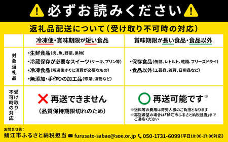 めがねのまちさばえ”より～優しい包まれる安心感『オールタイムサングラス（ チタン／チタンＦ）』女性用　クリア
