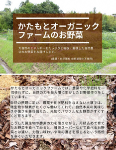 にんにく 1kg かたもとオーガニックファーム ニンニク