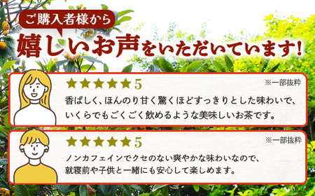 【12回定期便】鹿児島県産 ねじめびわ茶 ティーバック（20包入×10袋）ノンカフェイン TO-24 | 国産 お茶 茶 カロリーゼロ 無香料 無着色 トルマリン石焙煎 さわやか 甘み 香ばしい おい