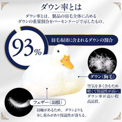 ふるさと納税 糸島市 【糸島羽毛ふとん】年中用(合掛け布団)ローズダウン93%【シングル】[AYM003] |  | 02