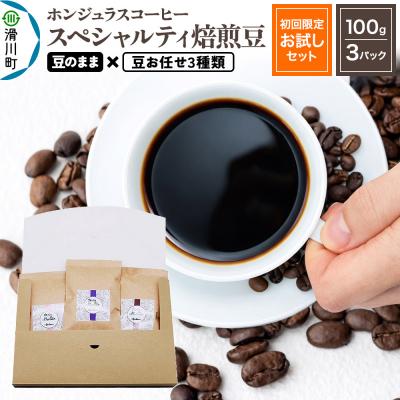 ふるさと納税 滑川町 ホンジュラスコーヒー【初回限定お試しセット】焙煎豆 豆のまま|19_pun-030301d