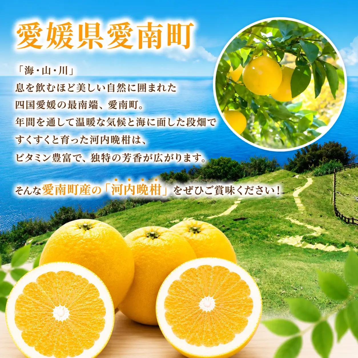 先行予約  愛南ゴールド（河内晩柑）大玉 約8kg みかん 蜜柑 河内晩柑 2027年発送 柑橘 果物 フルーツ 前田ファーム 愛媛 愛南 【発送期間 3月下旬～5月上旬 】(なくなり次第終了)