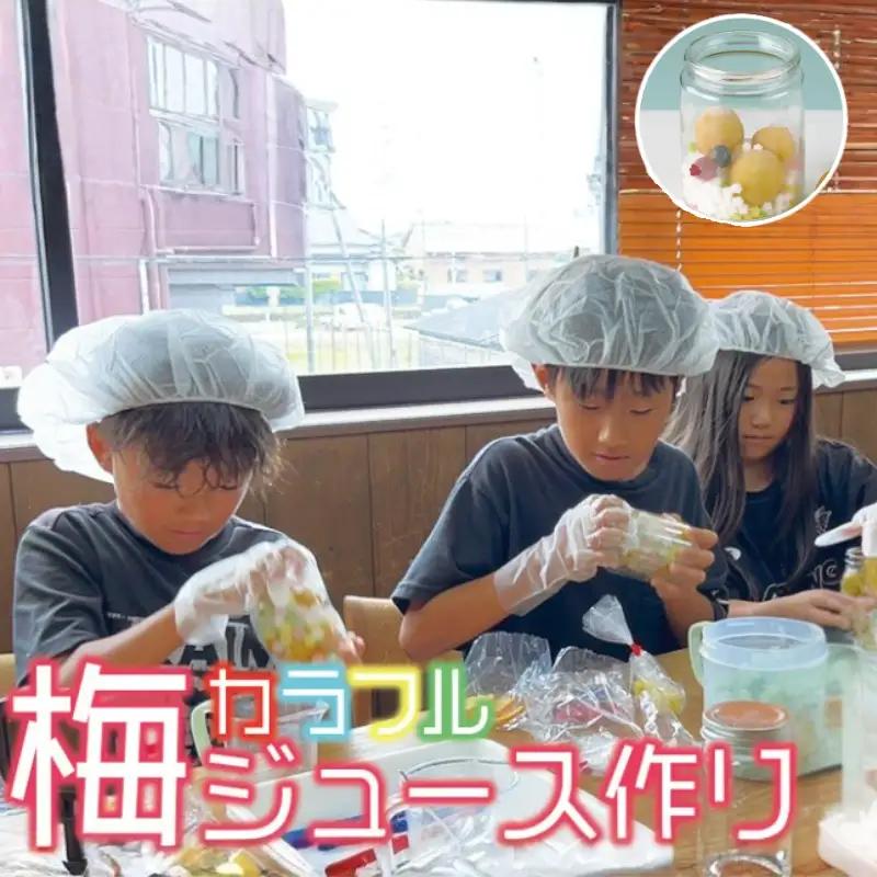 カラフル梅ジュースづくり体験ペアチケット iwasho011