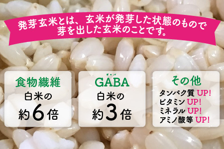 【令和5年産】【発芽玄米】無農薬 福井県産 コシヒカリ特選 真空パック 3kg  ～玄米以上の栄養価と白米に近い柔らかさ～ [A-2922]