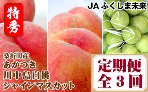 【令和8年7月～9月頃発送】桑折町もも2品種・シャインマスカット定期便 ／ もも モモ マスカット 果物 フルーツ 旬 甘い 甘み ジューシー 果肉 果汁 新鮮 フレッシュ デザート おいしい 産地直送 桑折 こおり こおりまち 福島県 特産品 No.176