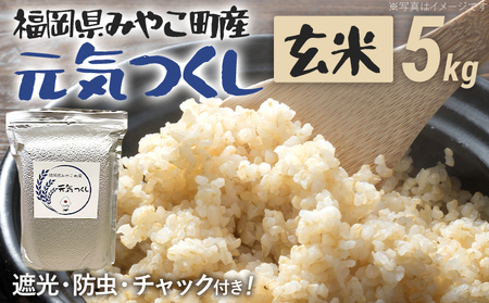 福岡県 みやこ町産 元気つくし （玄米） 5kg 米【期間限定】米 米 米 米 米 チャック付き チャック 真空パック 防虫 ごはん おにぎり おやつ 福岡県 福岡 九州 グルメ お取り寄せ