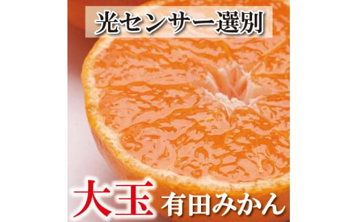 ＜11月より発送＞家庭用 大きな有田みかん5kg+150g（傷み補償分）訳あり