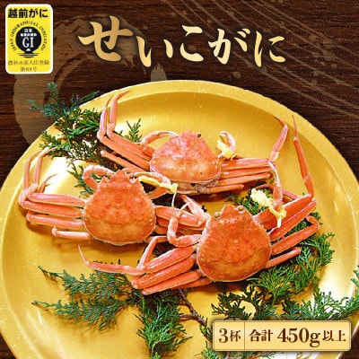 地元鮮魚店厳選 ≪浜茹で≫ 越前せいこがに 3杯【11・12月発送】【配送不可地域：離島】【1448137】