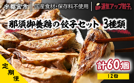 『定期便』宇都宮餃子 運気アップ餃子 鶏餃子3種類味比べ(合計60個)　保存料不使用　全12回【配送不可地域：離島】