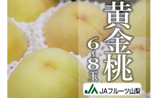 JAフルーツ山梨 甲州市産黄金桃 6～8玉【80】【2026年発送】B-103【黄金桃 桃 もも モモ 令和8年発送 期間限定 山梨県産 甲州市 フルーツ 果物】