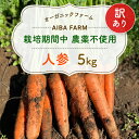 【ふるさと納税】【12月～2月発送】【栽培期間中農薬不使用】訳あり人参 5kg オーガニックファーム AIBA FARM　B品 / 野菜 にんじん 人参 ニンジン 特産 甘い 訳あり 不揃い B級 オーガニック organic フードロス 千葉県 富里市 TML006