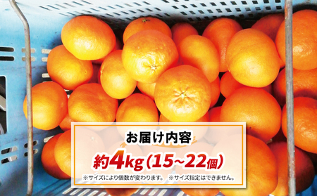 甘平 4kg 15~22個 ハウス栽培 南予ファーム かんぺい 高級 希少 限定 品種 ブランド シャキシャキ 甘い 果物 くだもの フルーツ 柑橘 みかん mikan 愛媛みかん 愛媛蜜柑 愛媛ミカ