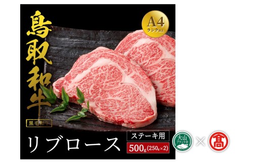 DS3＜だんだんキッチン＞鳥取和牛　リブロースステーキ用（250g×２枚）（大山ブランド会）