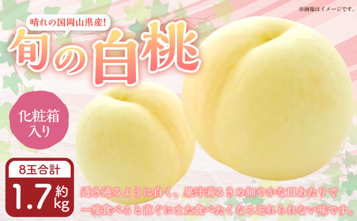 岡山県産 旬の白桃 8玉 （計1.7kg以上）【2025年7月上旬～8月上旬迄発送予定】 化粧箱入り 果物 くだもの フルーツ 桃 もも モモ 白桃 旬 岡山 おかやま 国産 冷蔵