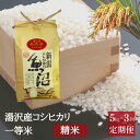 【ふるさと納税】 令和6年産 【精米5kg/3ヶ月定期便】湯沢産コシヒカリ＜精米＞（白米） 精米したてのお米をお届け 南魚沼産 こしひかり 3回定期便