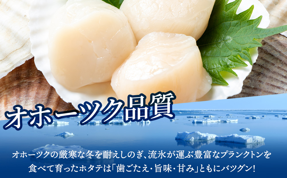 ☆ホタテ 丸特　1kg 訳あり ほたて 帆立 国産 北海道産 オホーツク産