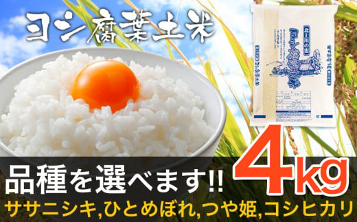 【新米予約】令和6年産 品種が選べる ヨシ腐葉土米 精米4kg ＜つや姫＞　