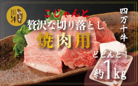 幻の四万十牛 こじゃんと贅沢な切り落とし　焼肉用（黒毛和牛）約1ｋｇ R5-979