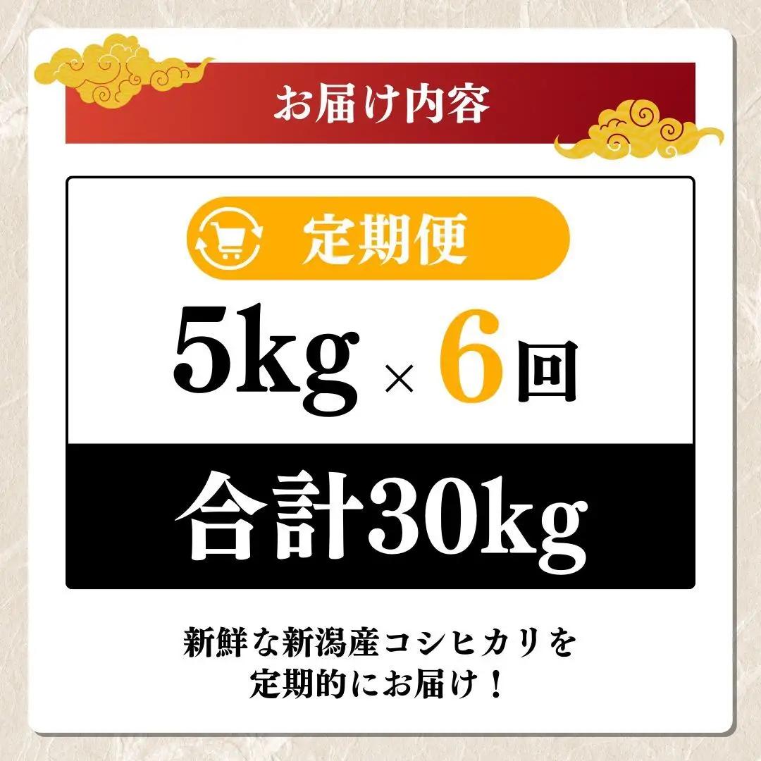 【6回定期便】新米予約 コシヒカリ 5kg 30㎏ コシヒカリ 新潟県