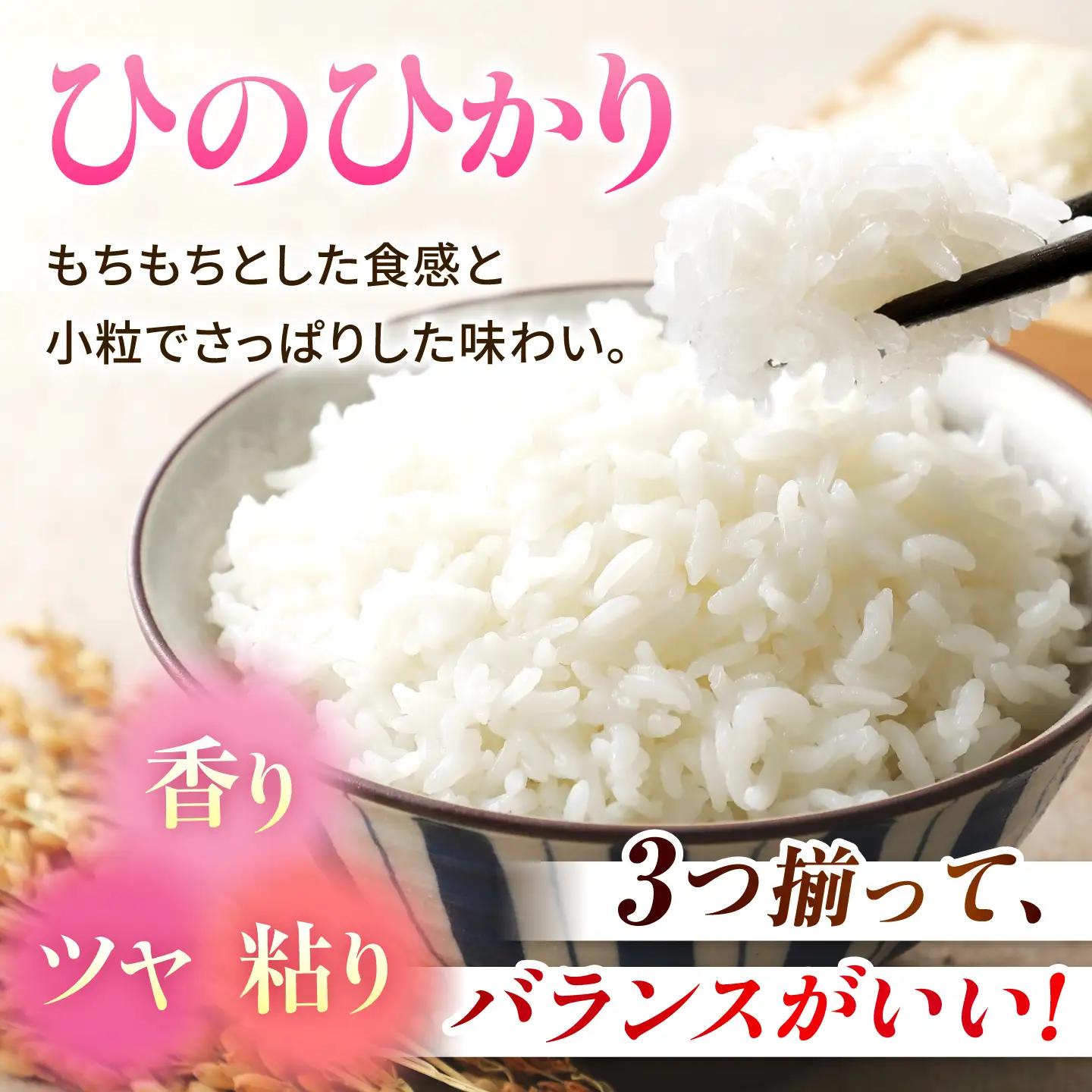 〈令和8年度産米〉【6回定期便】山鹿のお米 ヒノヒカリ 5kg×4【有限会社 あそしな米穀】[ZBI042]