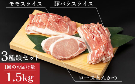 【12回定期便】SPF豚 やっちゃおいしか芳寿豚バラエティセット 計1500g / 豚肉 定期便 ほうじゅとん SPF豚 spfポーク 小分け バラ しゃぶしゃぶ / 南島原市 / 芳寿牧場 [SEI