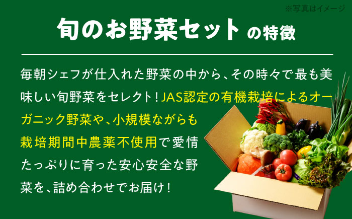 【シェフの目線】栽培期間中農薬不使用！大満足 旬のお野菜セット　愛媛県大洲市/有限会社ヒロファミリーフーズ[AGBX003]野菜 サラダ カレー 農業 トマト 料理  きゅうり 鍋 とうもろこし 果物