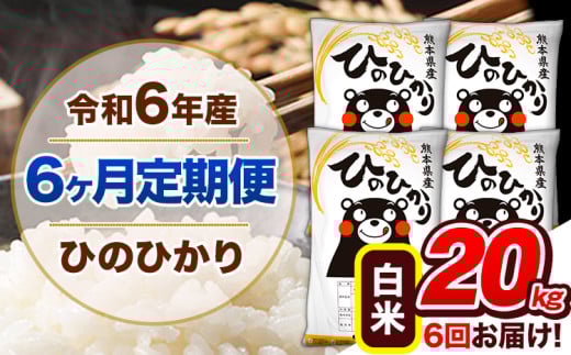 【6ヶ月定期便】令和6年産 定期便 ひのひかり20kg 《申込み翌月から発送》令和6年産 熊本県産 ふるさと納税 白米 精米 ひの 米 こめ ふるさとのうぜい ヒノヒカリ コメ 熊本米 ひのもり