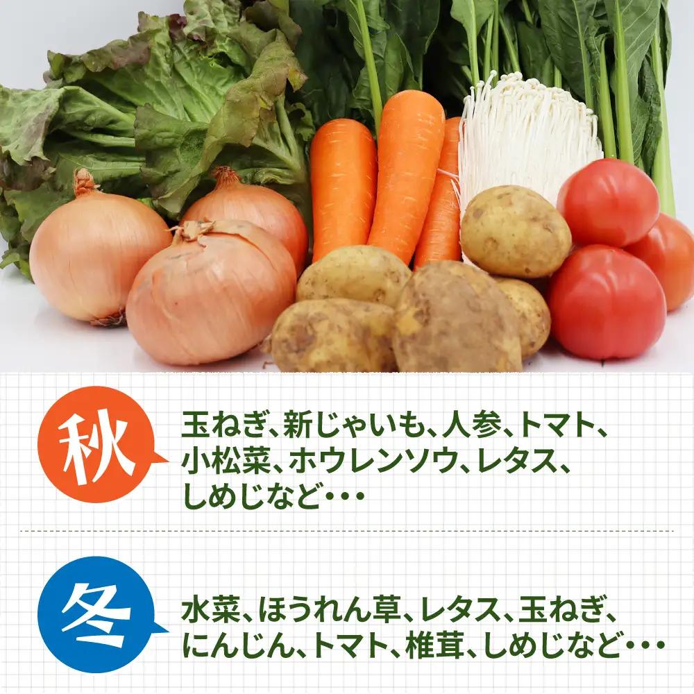 【12回定期便】野菜定期便 8品目 [SCZ030]