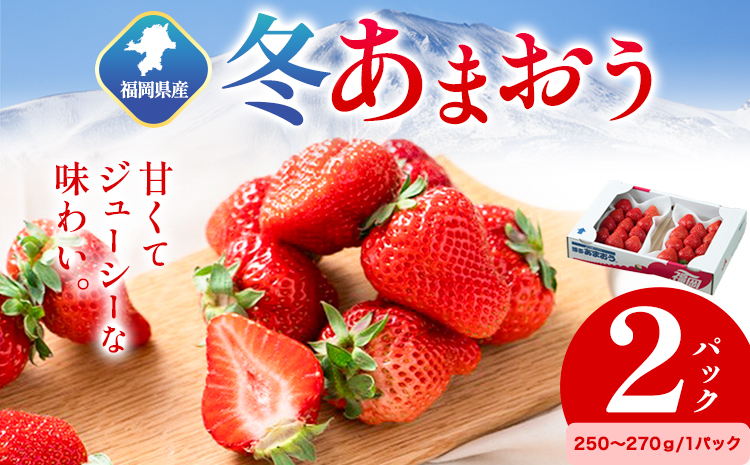福岡県産 冬あまおう 2パック 南国フルーツ株式会社《12月上旬-1月末頃出荷》福岡県 小竹町 あまおう いちご イチゴ 送料無料【配送不可地域あり】---sc_cnngkam_af12_24_14000_500g---
