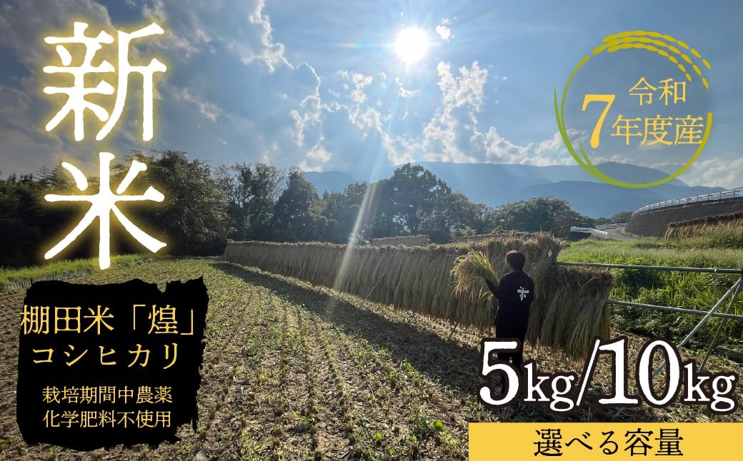 
            ＜令和7年産新米＞天日干し自然乾燥米　選べる容量（5kg/10kg）（玄米の希望も可） 
          