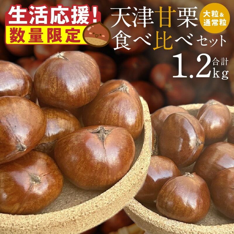 【ふるさと納税】生活応援 数量限定 天津甘栗 厳選大粒 通常サイズ 食べ比べ セット 選べる 容量 合計1kg 1.2kg 焼きたて 発送当日 焼き上げ 栗 栗爪 殻付き お菓子 おつまみ 人気 高リピート 小分け 栗ご飯 栗きんとん 甘露煮 愛知県 碧南市 送料無料