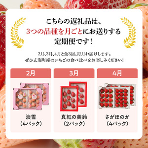 【3回定期便】玄海町産いちご ミックス定期便DX ／ さがほのか 淡雪 真紅の美鈴 フルーツ【Z055】