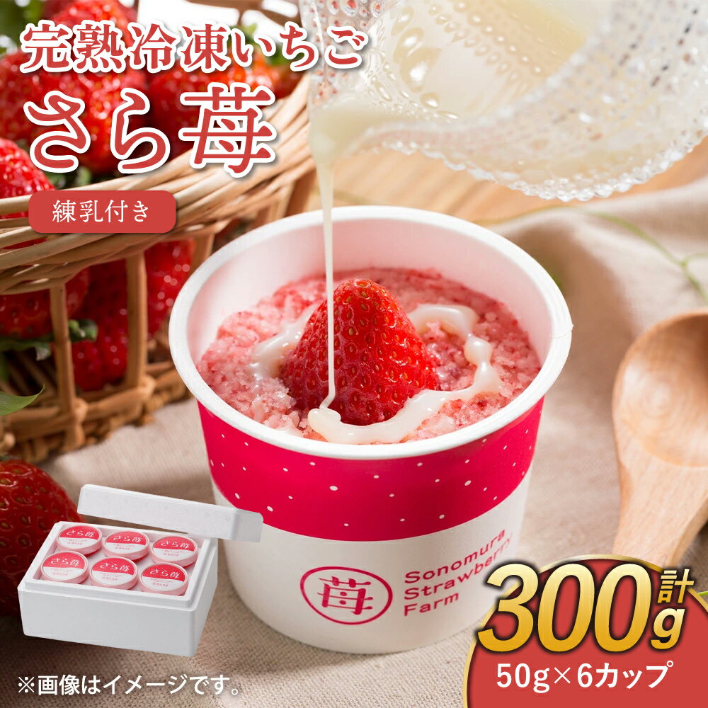 【ふるさと納税】完熟 冷凍 いちご さら苺 50g×6カップ 合計300g 練乳付き 園村苺園 イチゴ 苺 さちのか 練乳 フルーツ 果物 デザート 小分け カップ 急速冷凍 贈答品 贈り物 のし対応 国産 九州産 熊本県産 宇城市産 送料無料