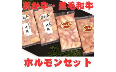 くまもとあか牛 ホルモン セット 約200g×2袋 くまもと 黒毛和牛 ホルモンセット 約200g×2袋 合計約800g  ホルモン ホルモン ホルモン ホルモン ホルモン[AYAN030]