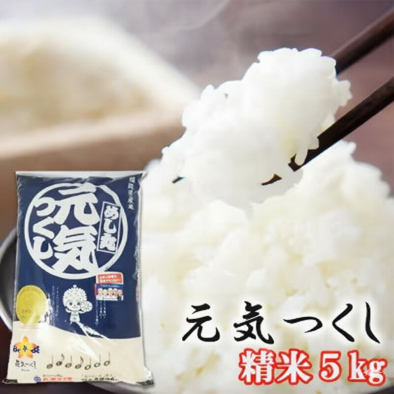 【ふるさと納税】福岡県産 米 元気つくし 精米 5kg コメ お米 白米