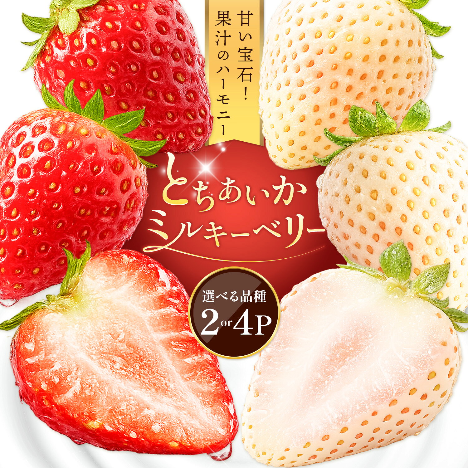 【ふるさと納税】いちご 苺 とちあいか ミルキーベリー セットもあり 選べる 2パック(280g×2パック) 4パック(250g×4パック)《出荷時期をお選びください》栃木県 野木町 イチゴ 苺 果物 フルーツ スイーツ お取り寄せフルーツ